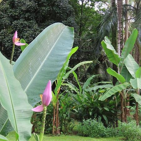 Sand Dollar Beach Bed & Breakfast Bocas del Toro Exterior foto