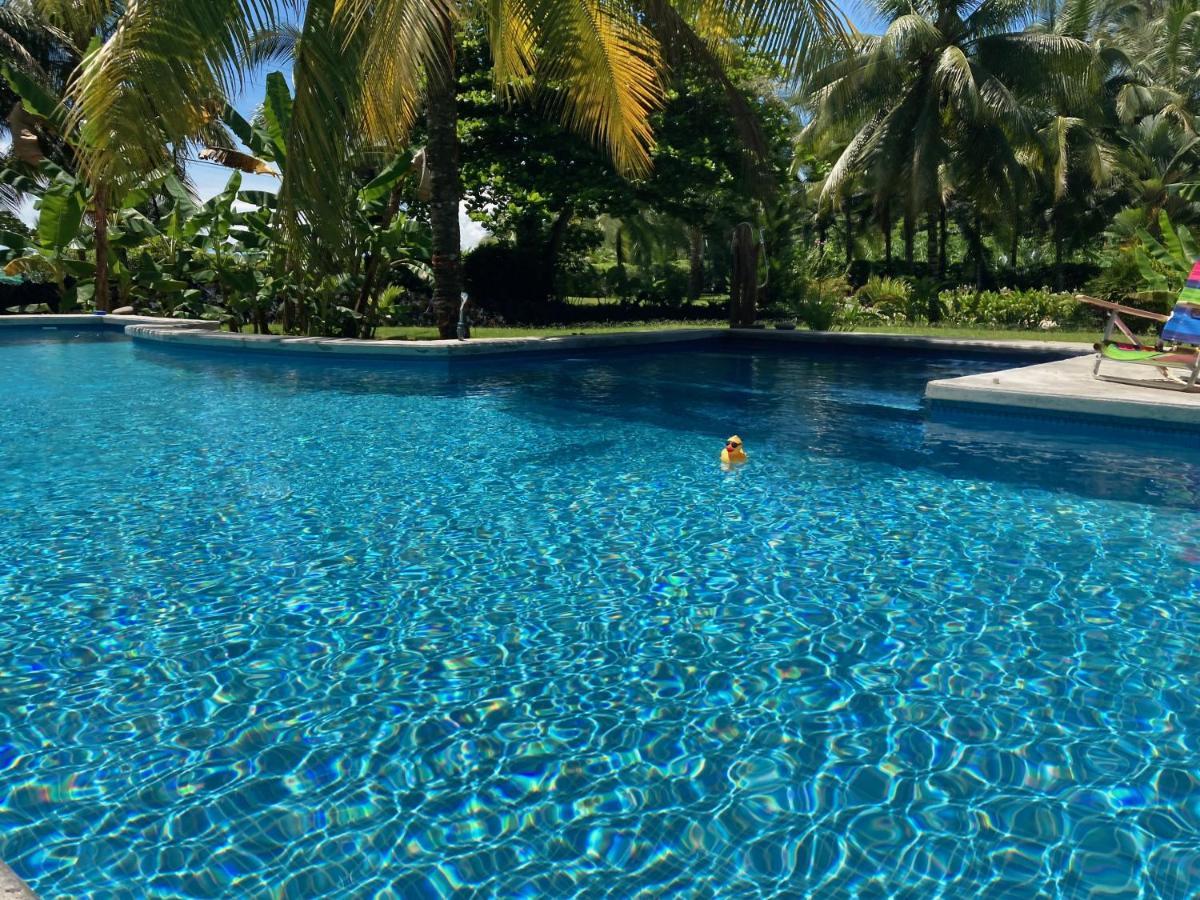 Sand Dollar Beach Bed & Breakfast Bocas del Toro Exterior foto