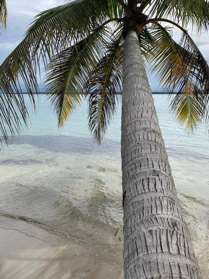 Sand Dollar Beach Bed & Breakfast Bocas del Toro Exterior foto
