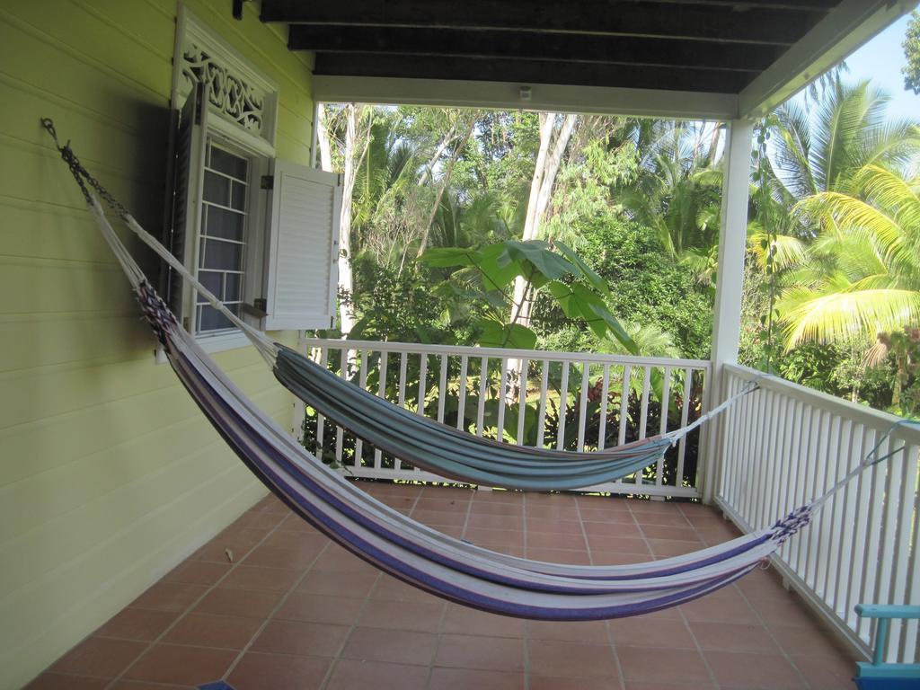 Sand Dollar Beach Bed & Breakfast Bocas del Toro Habitación foto