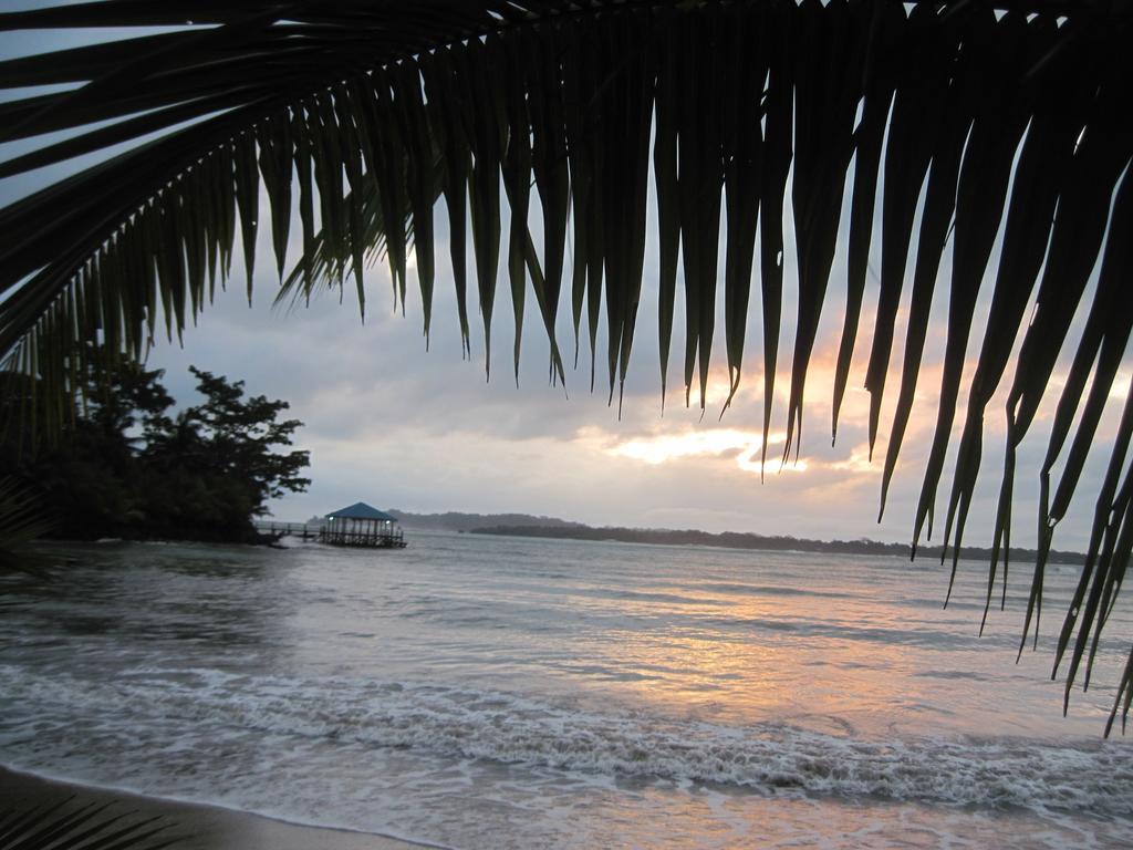 Sand Dollar Beach Bed & Breakfast Bocas del Toro Exterior foto