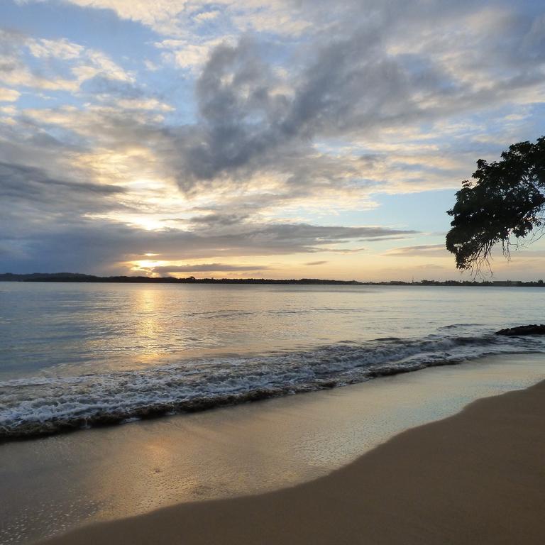 Sand Dollar Beach Bed & Breakfast Bocas del Toro Exterior foto