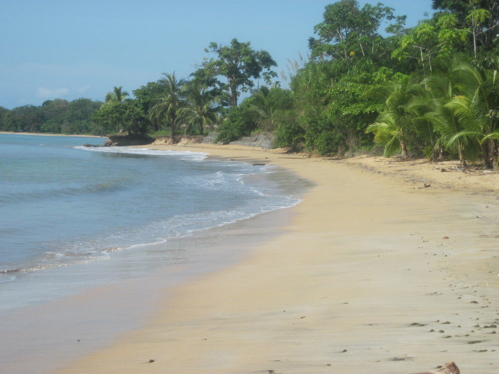 Sand Dollar Beach Bed & Breakfast Bocas del Toro Exterior foto